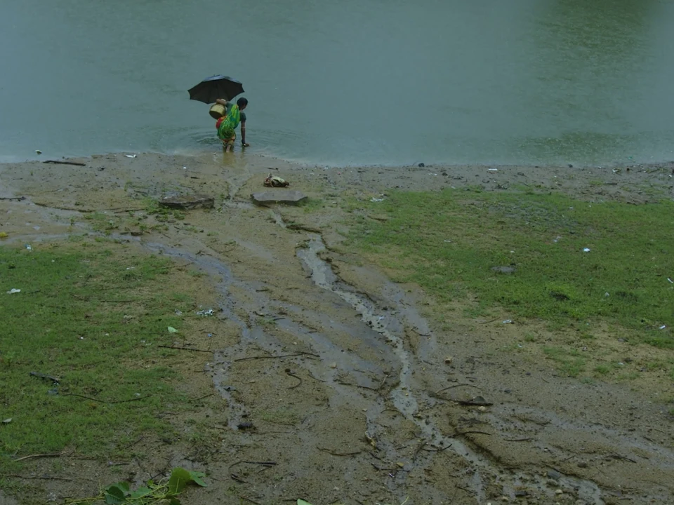 A woman with an umbrella and metal vessel reaches towards the water at the edge of a pond